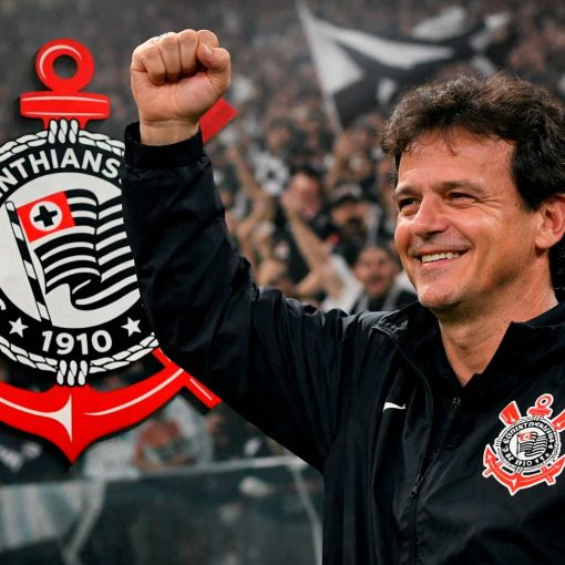 Fernando Diniz: seja bem-vindo. E boa sorte!!!